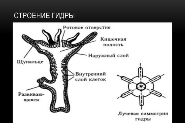 Мега зеркало телеграм