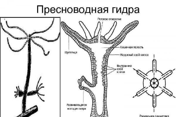 Актуальный сайт мега